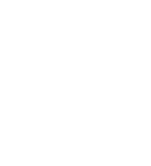 DesignSport